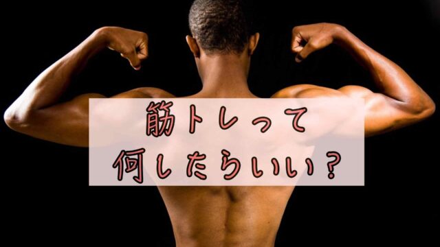 何をすれば良いかわからない 筋トレ初心者おすすめの筋トレメニュー Chimalブログ Since 11 24